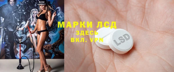 прущие грибы Каменск-Шахтинский