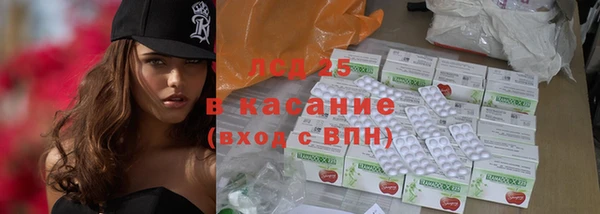 спайс Каменка
