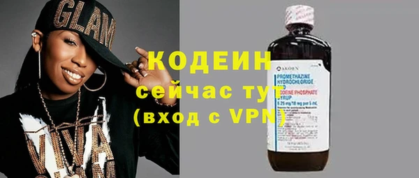 спайс Каменка