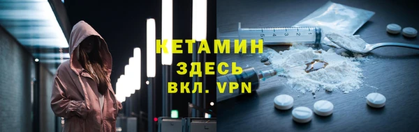 сатива Каменногорск