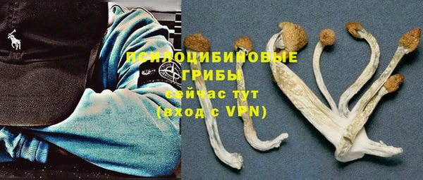 спайс Каменка