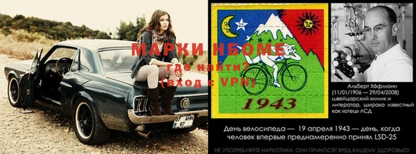 прущие грибы Каменск-Шахтинский