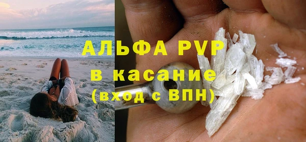 прущие грибы Каменск-Шахтинский