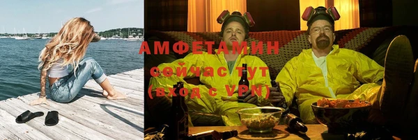сатива Каменногорск