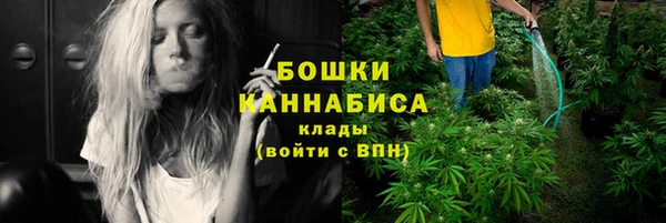 спайс Каменка