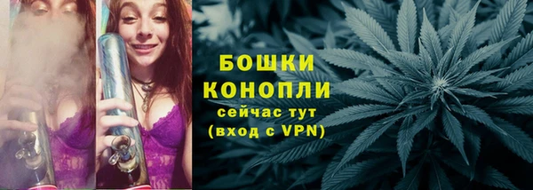 сатива Каменногорск