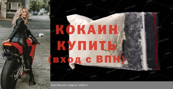 прущие грибы Каменск-Шахтинский